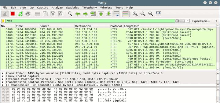 wireshark linux example capture