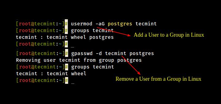 How To Add Or Remove A User From A Group In Linux