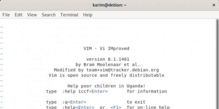 Как удалить vim debian