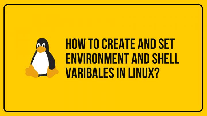 What Are Shell Variables In Linux