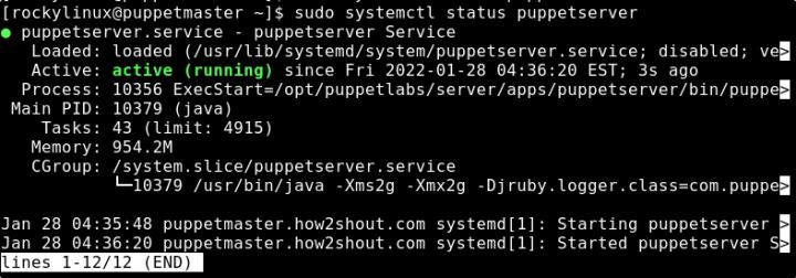 install-puppet-server-agent-on-rocky-linux-or-almalinux-8