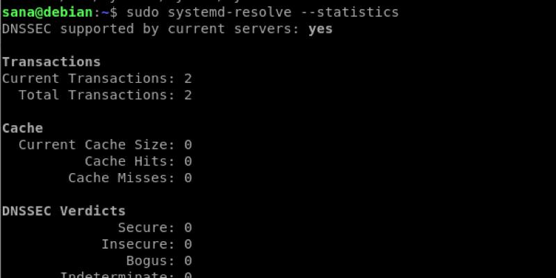 Two Ways To Flush The DNS Cache On Debian 11