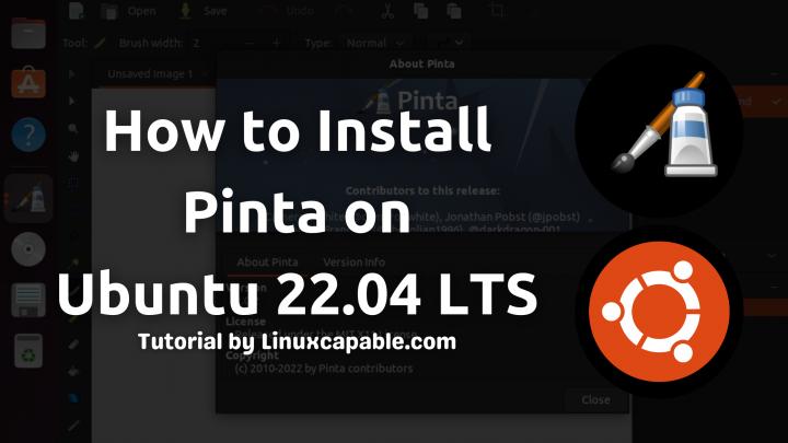 Ubuntu pinta как установить