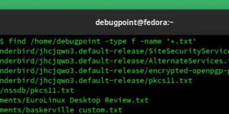 find-files-and-directories-in-linux-from-command-line